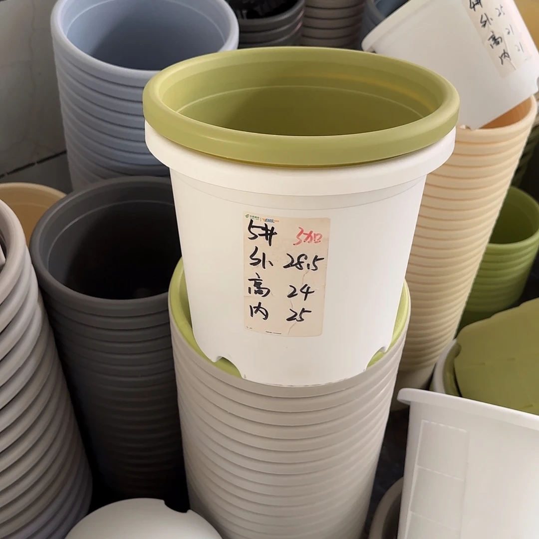 微瑕5号6个无托，白色