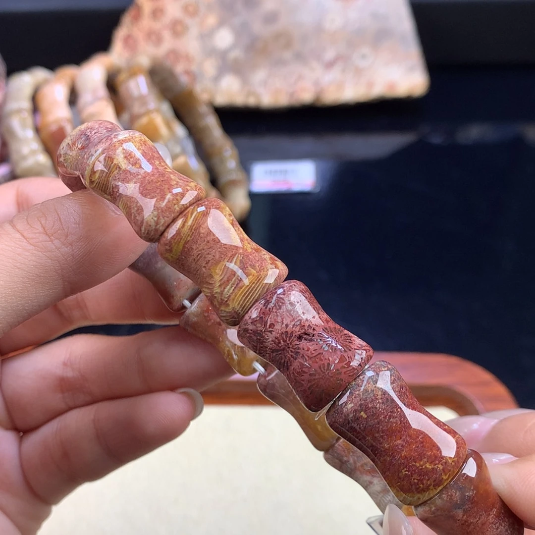 【闪购商品】硅化珊瑚（珊瑚玉）未镶嵌颈饰福利手牌（19号）