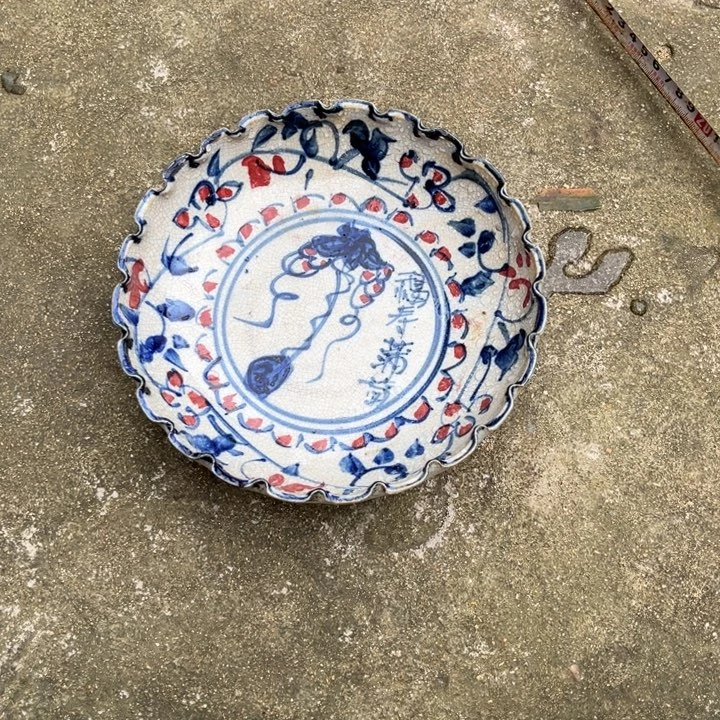 欢迎大家来看我的