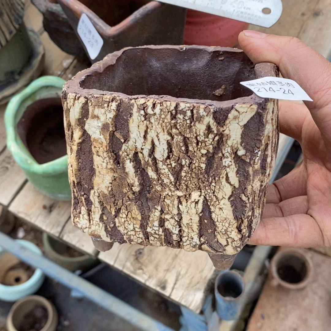 红陶24号多肉盆一个呀