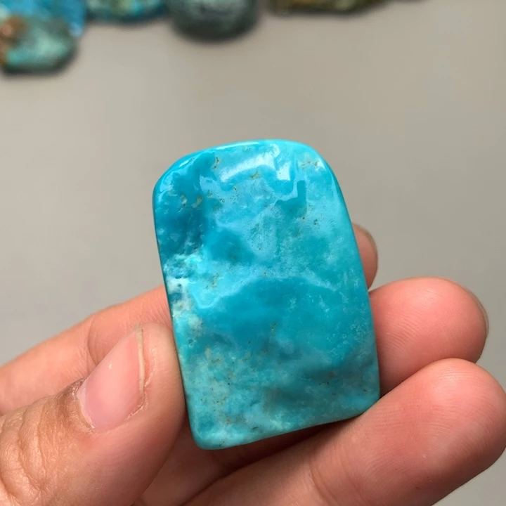 绿松石未镶嵌颈饰