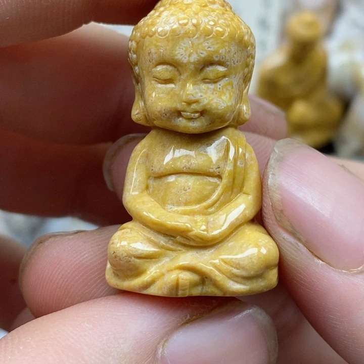 颈饰未镶嵌硅化珊瑚（珊瑚玉）