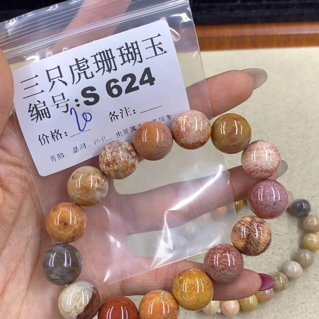 硅化珊瑚（珊瑚玉）t足银镀金镶嵌磊**石