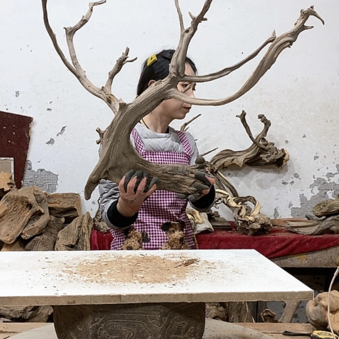 【闪购商品】柏木《****材我们都是好孩子