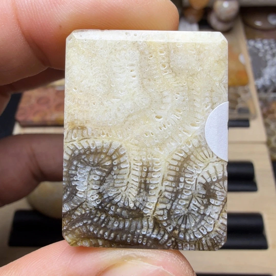 硅化玉未镶嵌纯天然色有机玉石保真色