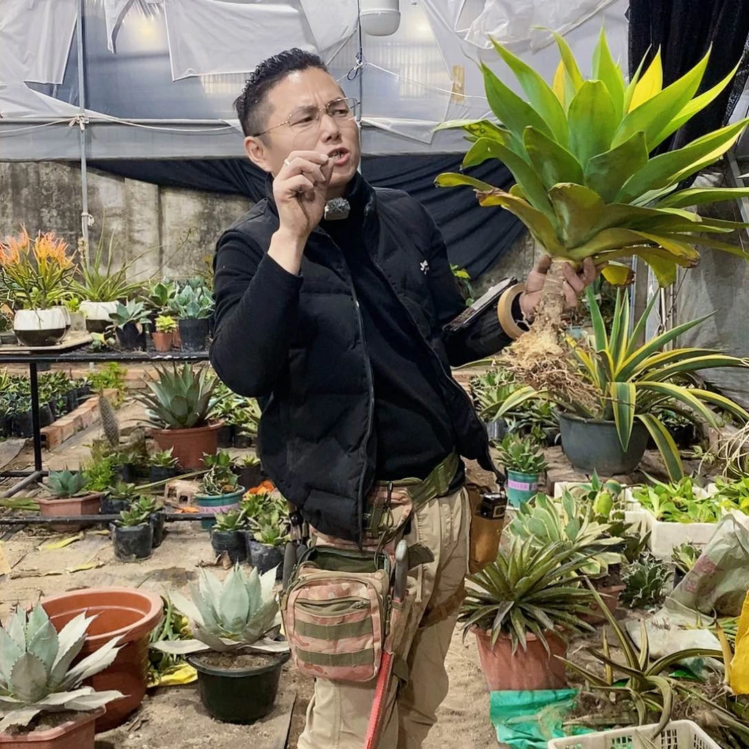 周*涵4134狐尾一颗