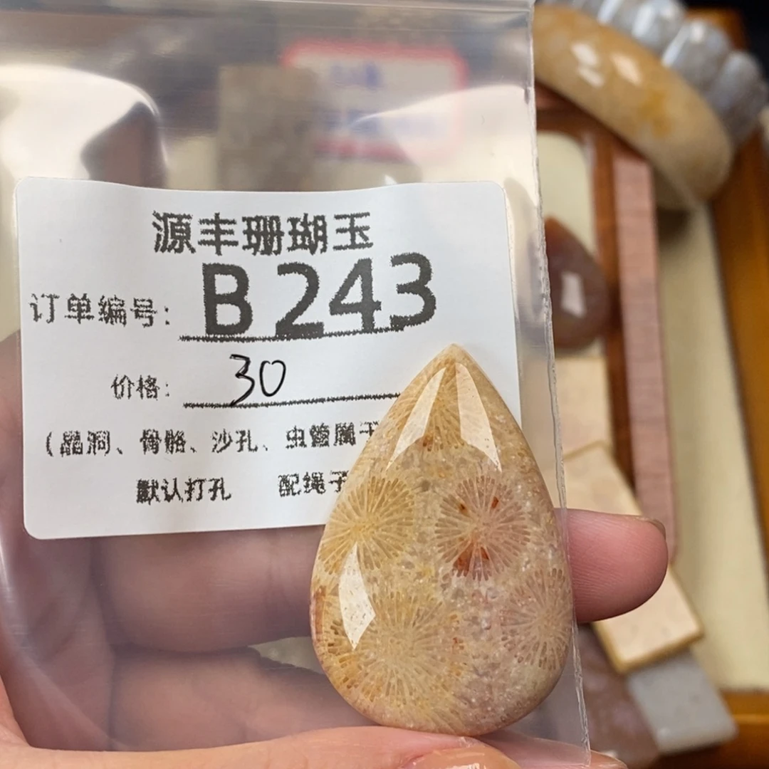 玉***虎未镶嵌颈饰硅化玉