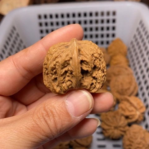 快***恼文玩核桃把件核桃