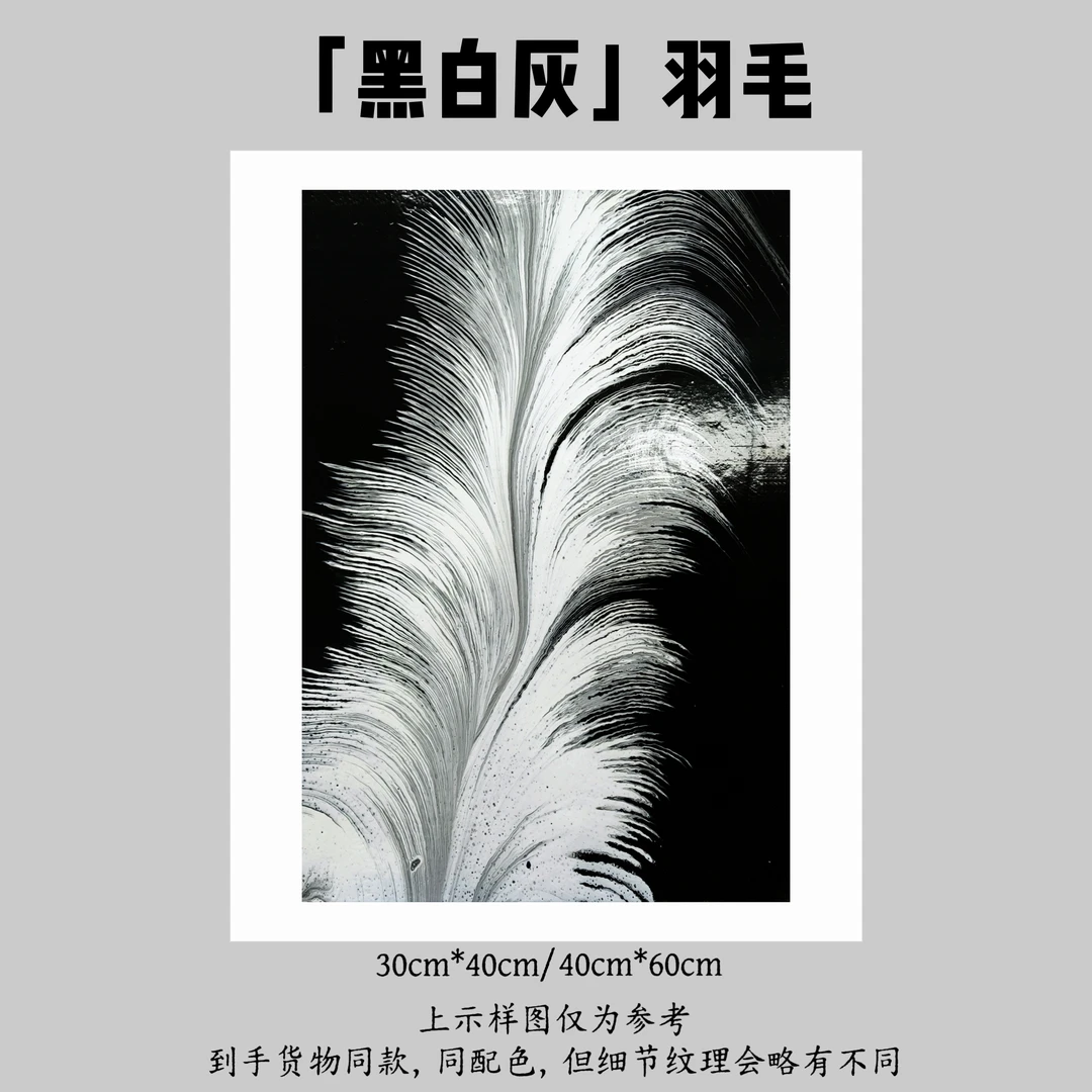 【黑白灰·羽毛】流体装饰画