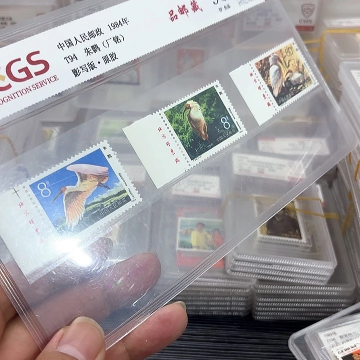 T94厂名单套中钱国信95片一套