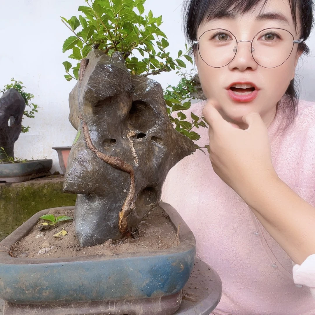 直播间不见不散来看看