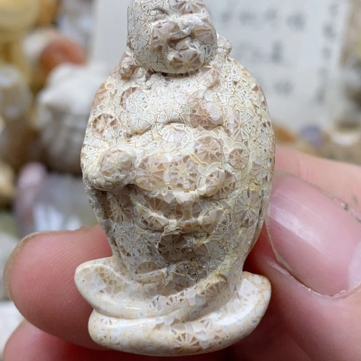 颈饰未镶嵌硅化珊瑚（珊瑚玉）有瑕 没打孔