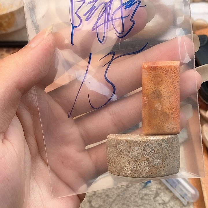 硅化玉颈饰未镶嵌阿*