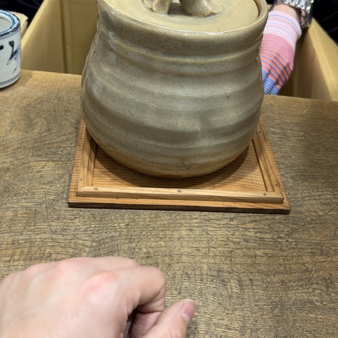d***大茶茶茶茶茶茶茶茶