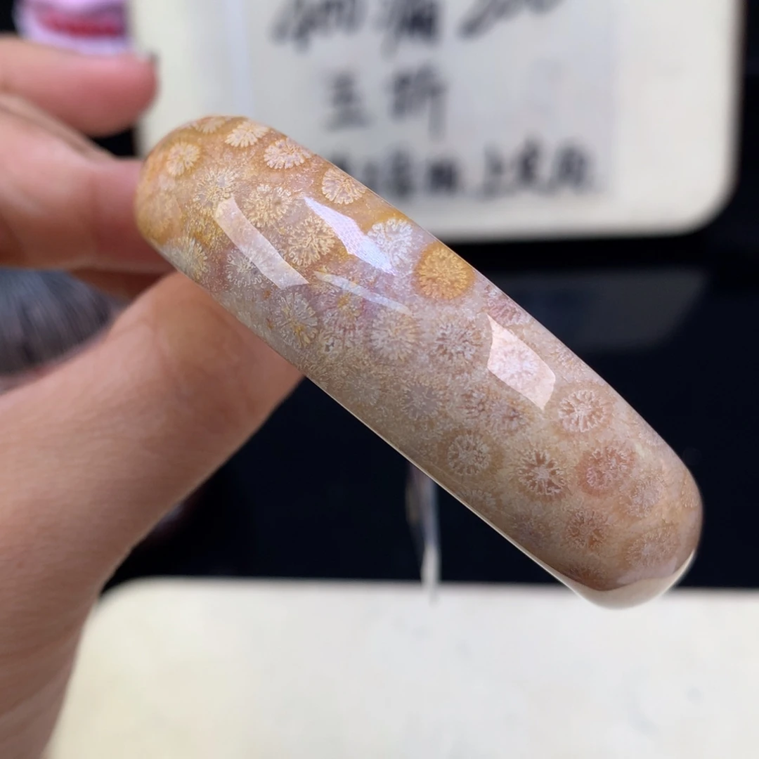 硅化珊瑚（珊瑚玉）未镶嵌颈饰五折手镯54.3圈口（44号）