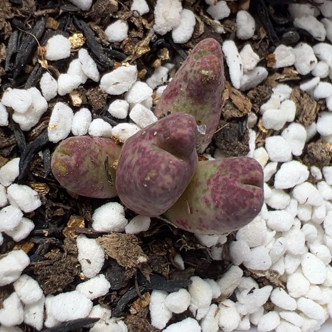 【闪购商品】192……