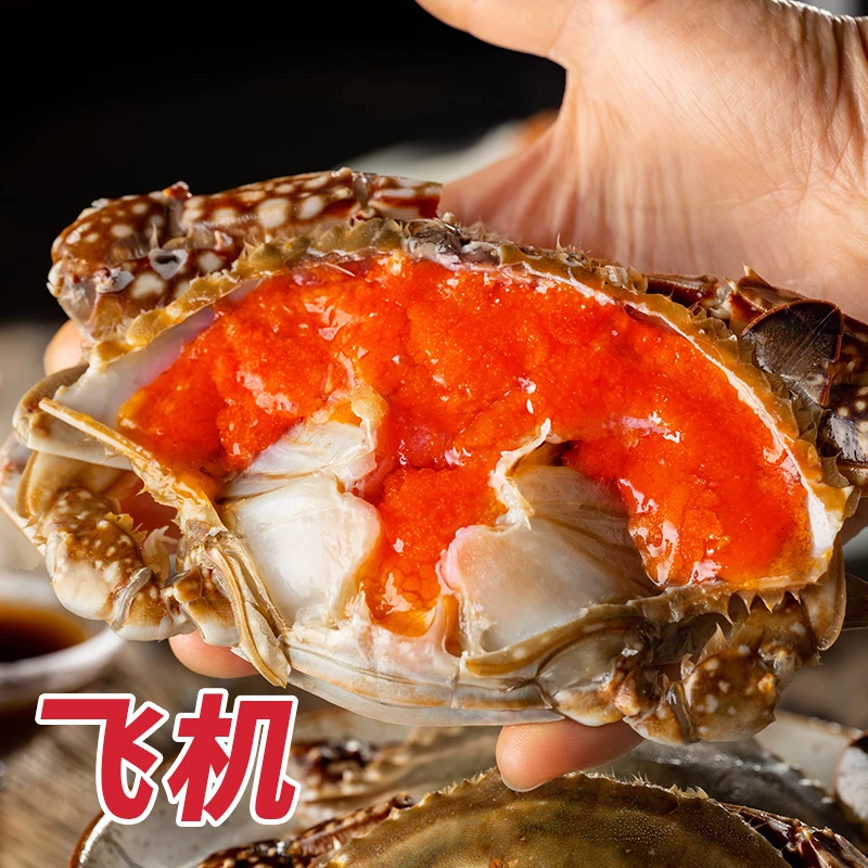 遇上鲜【飞机】红膏呛蟹半斤左右/只红膏蟹新鲜腌制即食冷冻保存