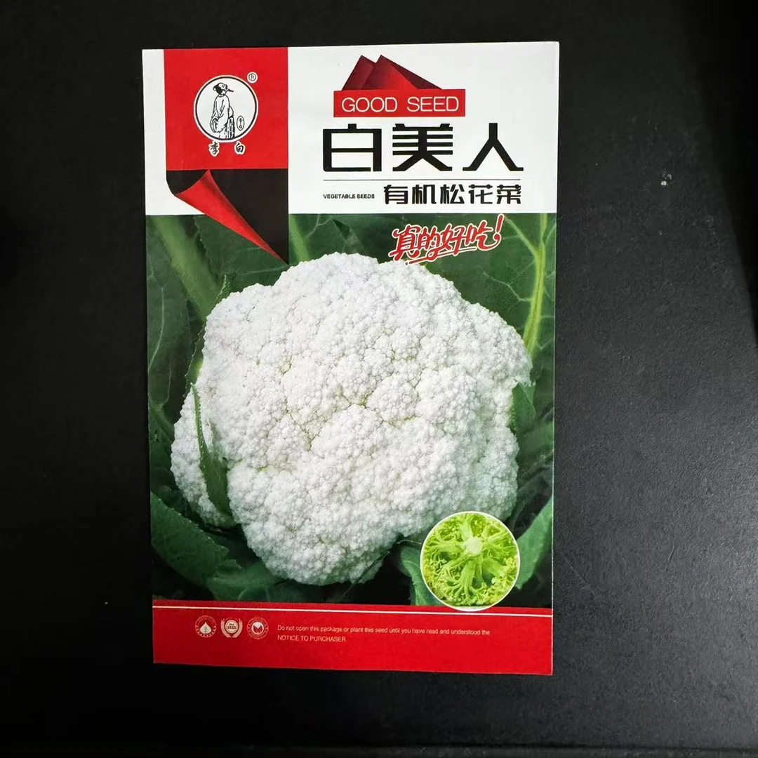 李白白美人有机松花菜种子