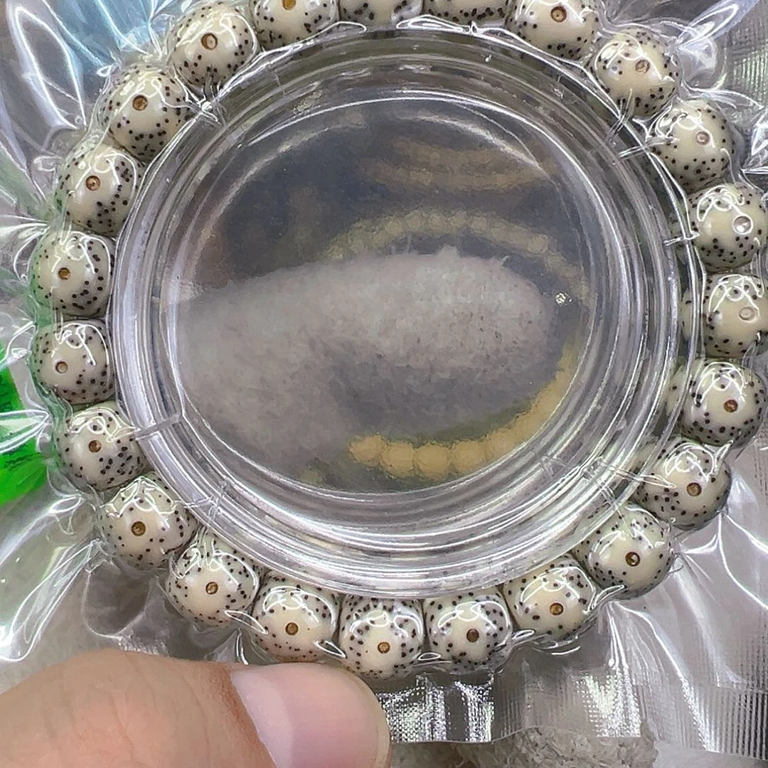 星月菩提手串12传说卡姿兰大眼睛星月菩提单圈10