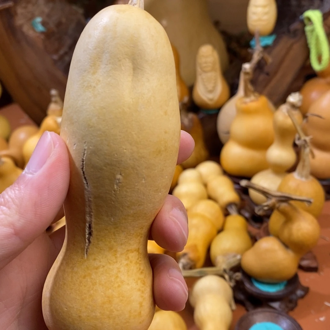 公***里教练咯咯哦哦哦哦哦咯