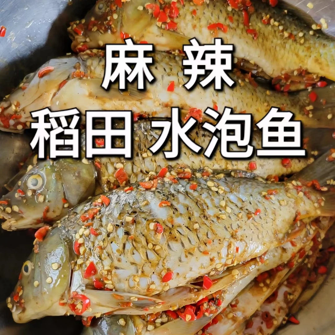 腾冲老字号【麻辣水泡鱼】纯【稻田稻花鱼】腌制油炸 烧烤麻辣鲜香