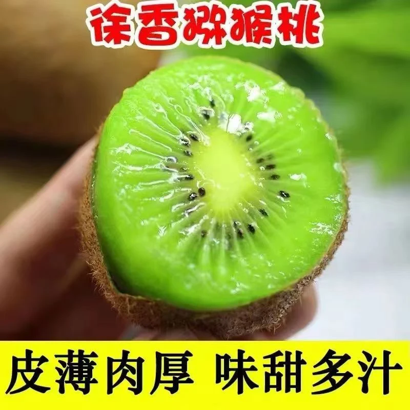 【新疆包邮】陕西徐香猕猴桃孕妇绿心奇异果野生当季新鲜水果整箱
