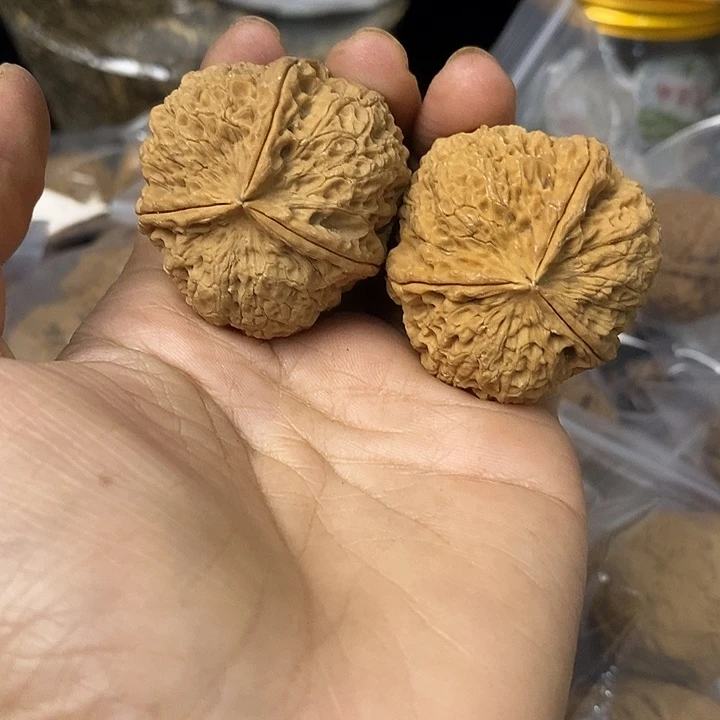 核桃云南铁核桃基地37