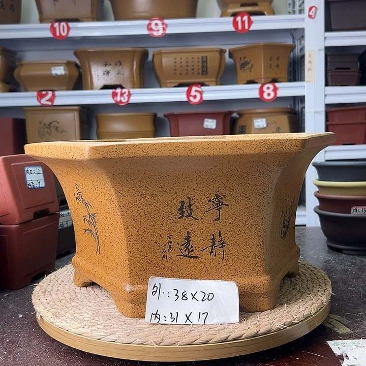 紫砂花盆蛇年大吉