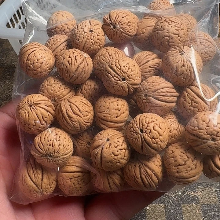 戰***下桃核吊坠66666666666