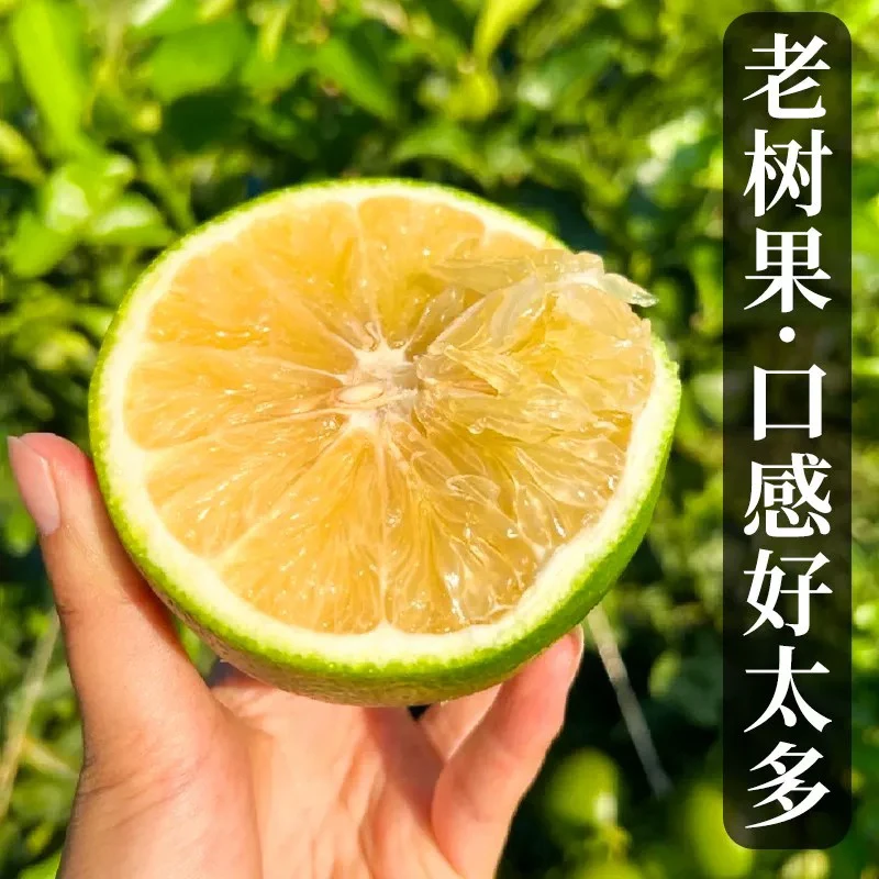 【平台推荐】2025年福建青柚新鲜爆汁纯甜绿宝石香水柚孕妇水果柚福建省