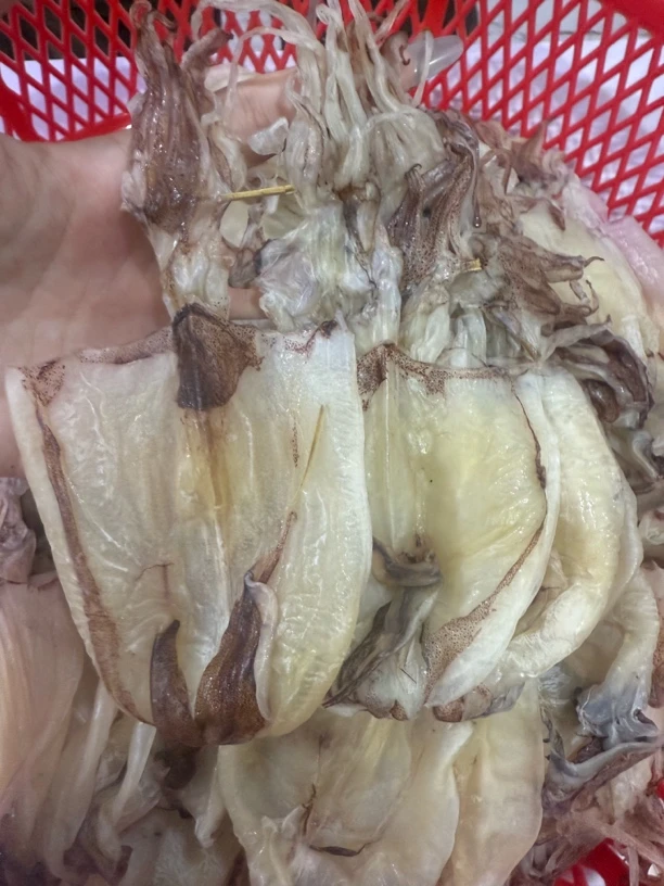 本港鱿鱼干淡晒厚肉鲜甜可炒菜烧烤煮粥煮汤