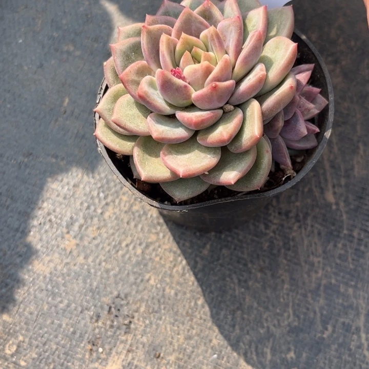 用****0100 0000000000