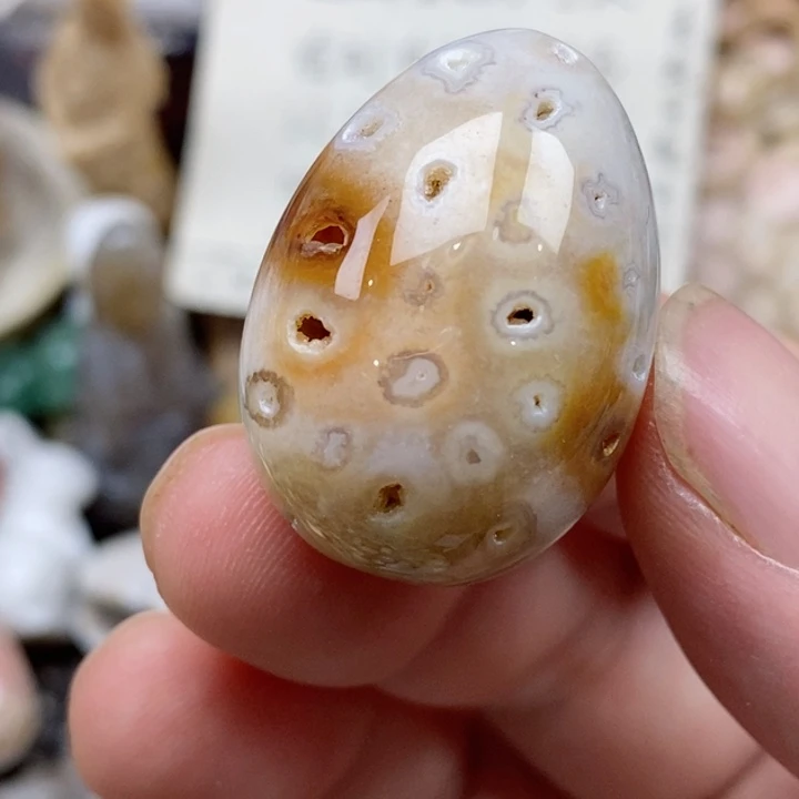 硅化珊瑚（珊瑚玉）未镶嵌颈饰