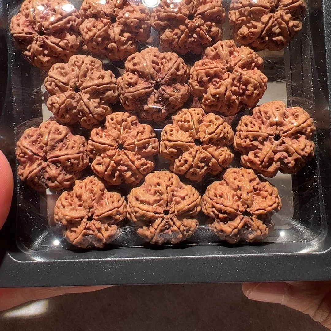 金刚菩提手串毕业级21尺寸梅花福利
