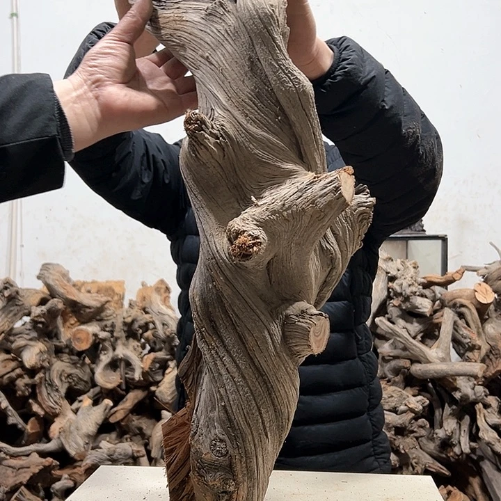 柏木未*置我们的生活也是如此