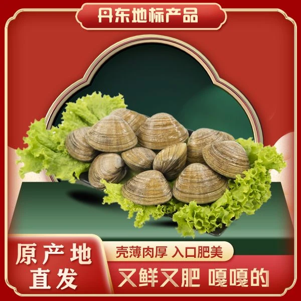 丹东东港黄蚬子 20-22个/斤 运输过程中部分碎壳 介意慎拍