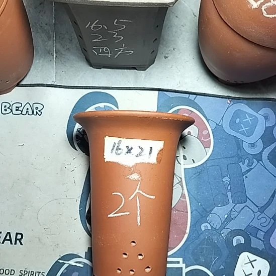 小红兰花两个微瑕