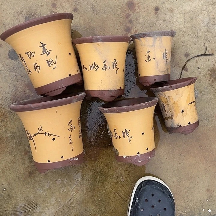 紫砂花盆这是我的