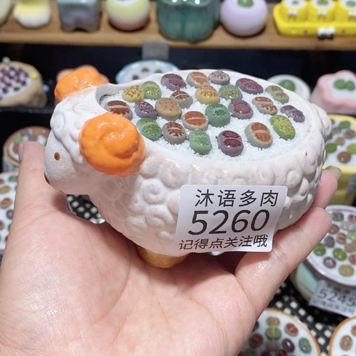 带盆土植物 一物一拍5260