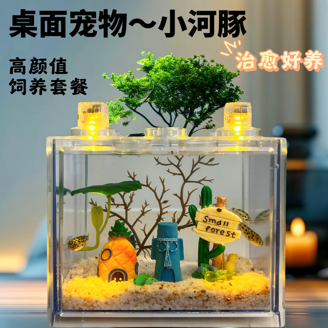 网红受气包潜水艇金娃娃河豚饲养套装可爱好养耐活桌面微景小鱼缸
