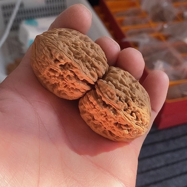 新***厅核桃手串/手链36全品丑疆