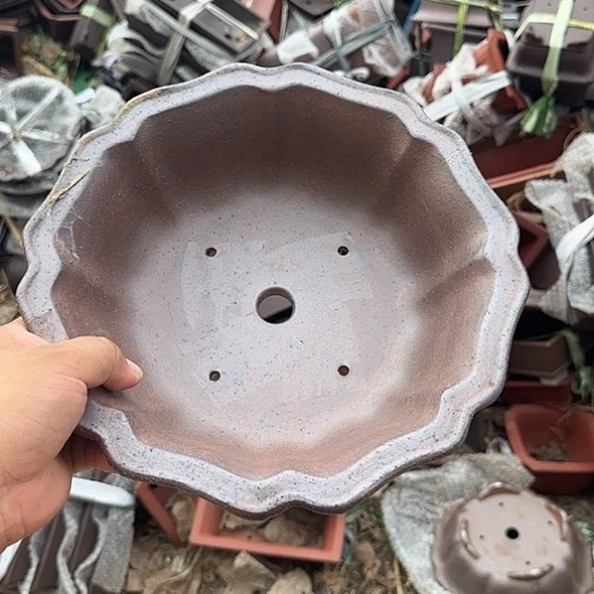 是一个集休闲农业的休闲胜地以及现代生活和