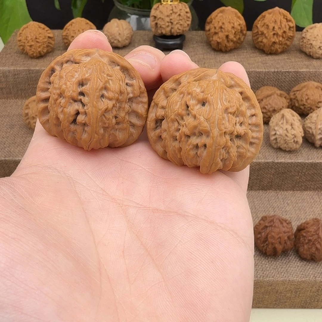 全品无修延庆白狮子41/40//35