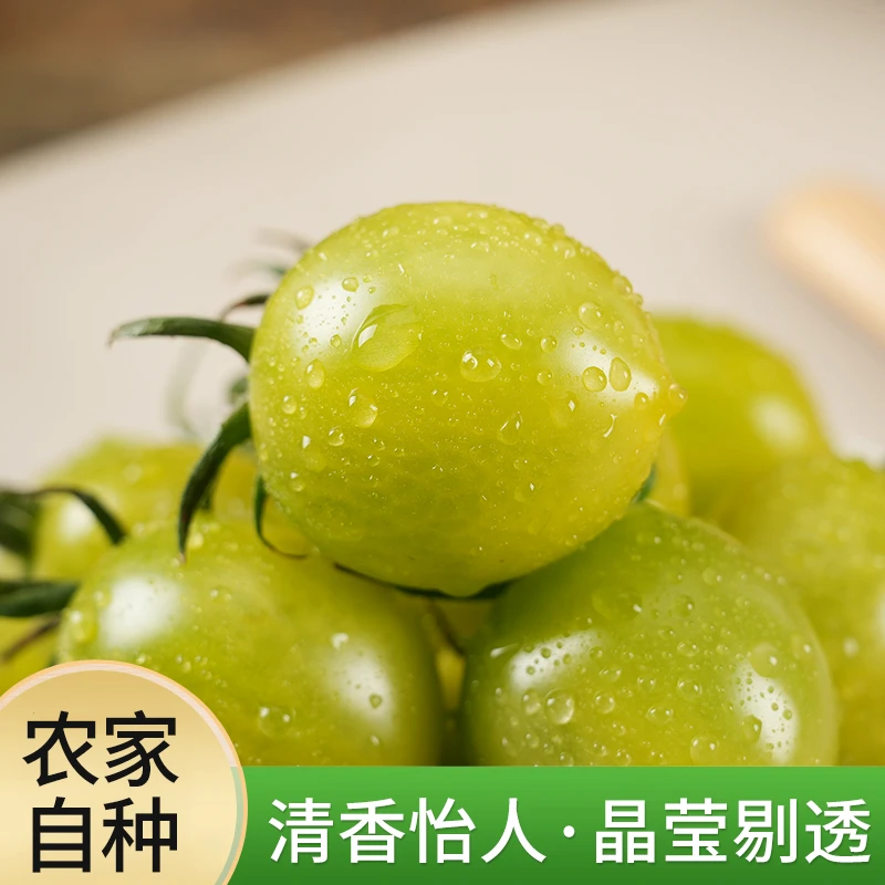 【顺丰包邮】产地直发现摘绿宝石青甜2号小番茄皮薄多汁当季水果