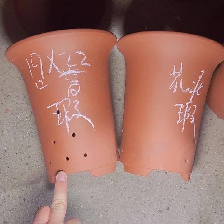 自身贮输血啧啧啧