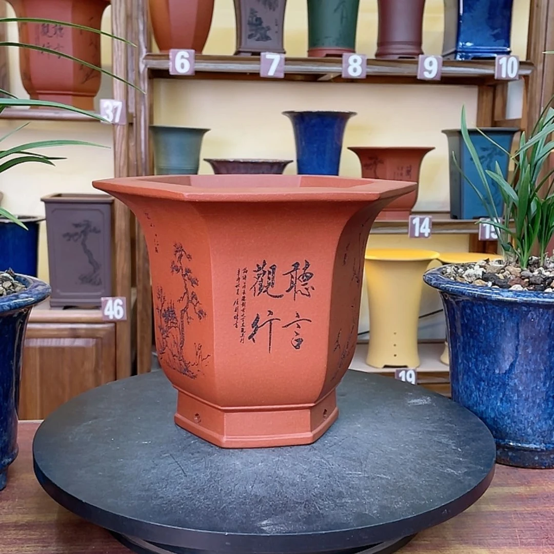 【闪购商品】紫砂花盆兰花943464548546464649