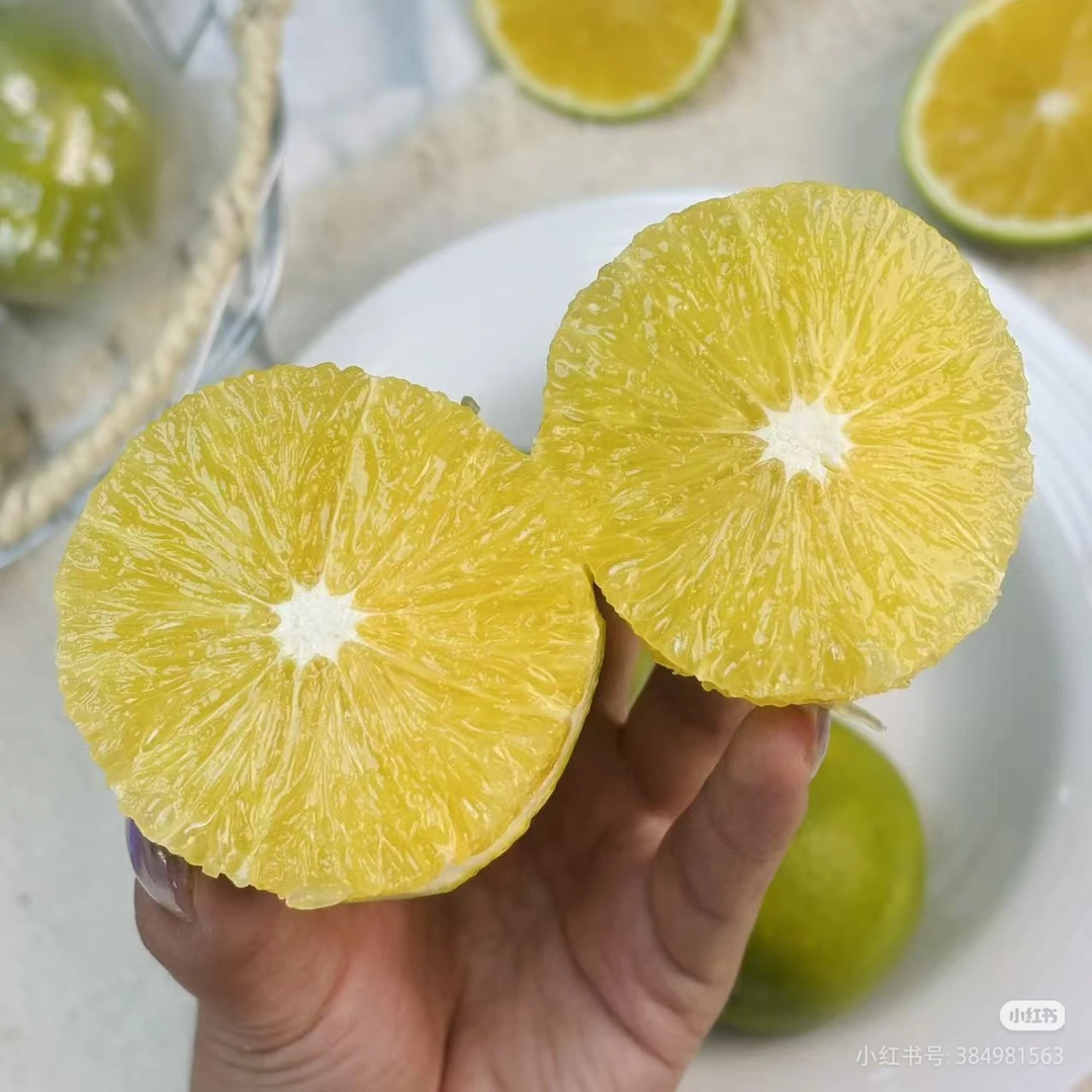 迦密橙子当季水果清甜多汁大果