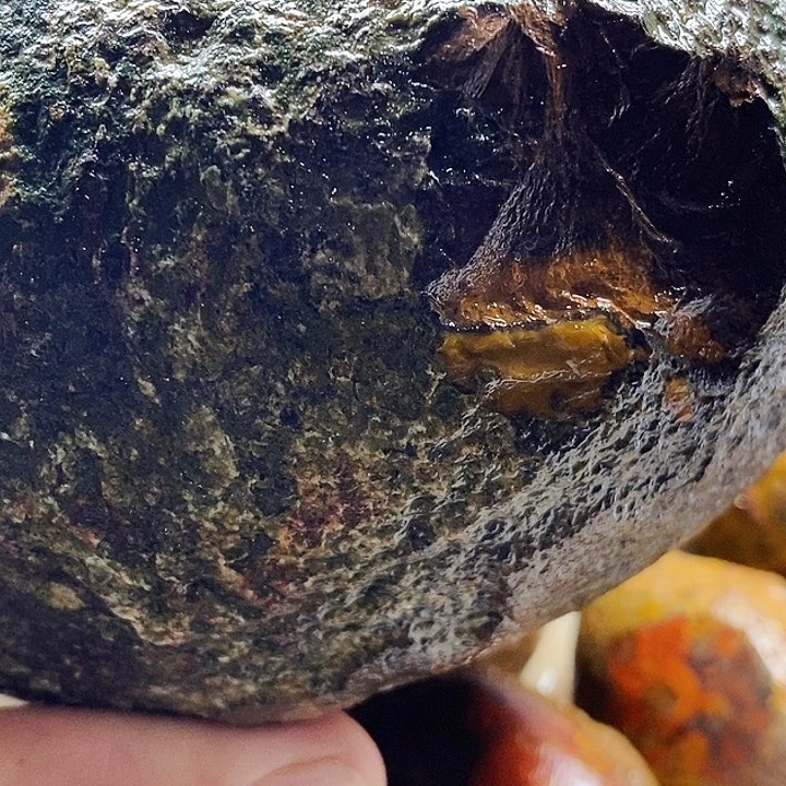 用***2未镶嵌玛瑙/玉髓珠宝奇石