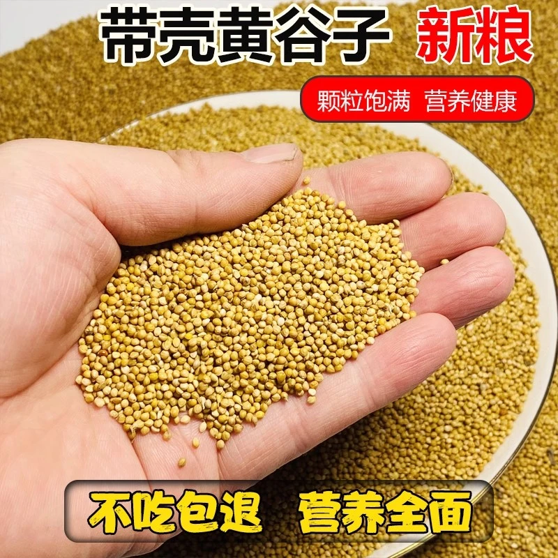 虎皮牡丹黄谷子鸟食带壳小米黄谷子鹦鹉饲料玄凤谷子粮食文鸟包邮