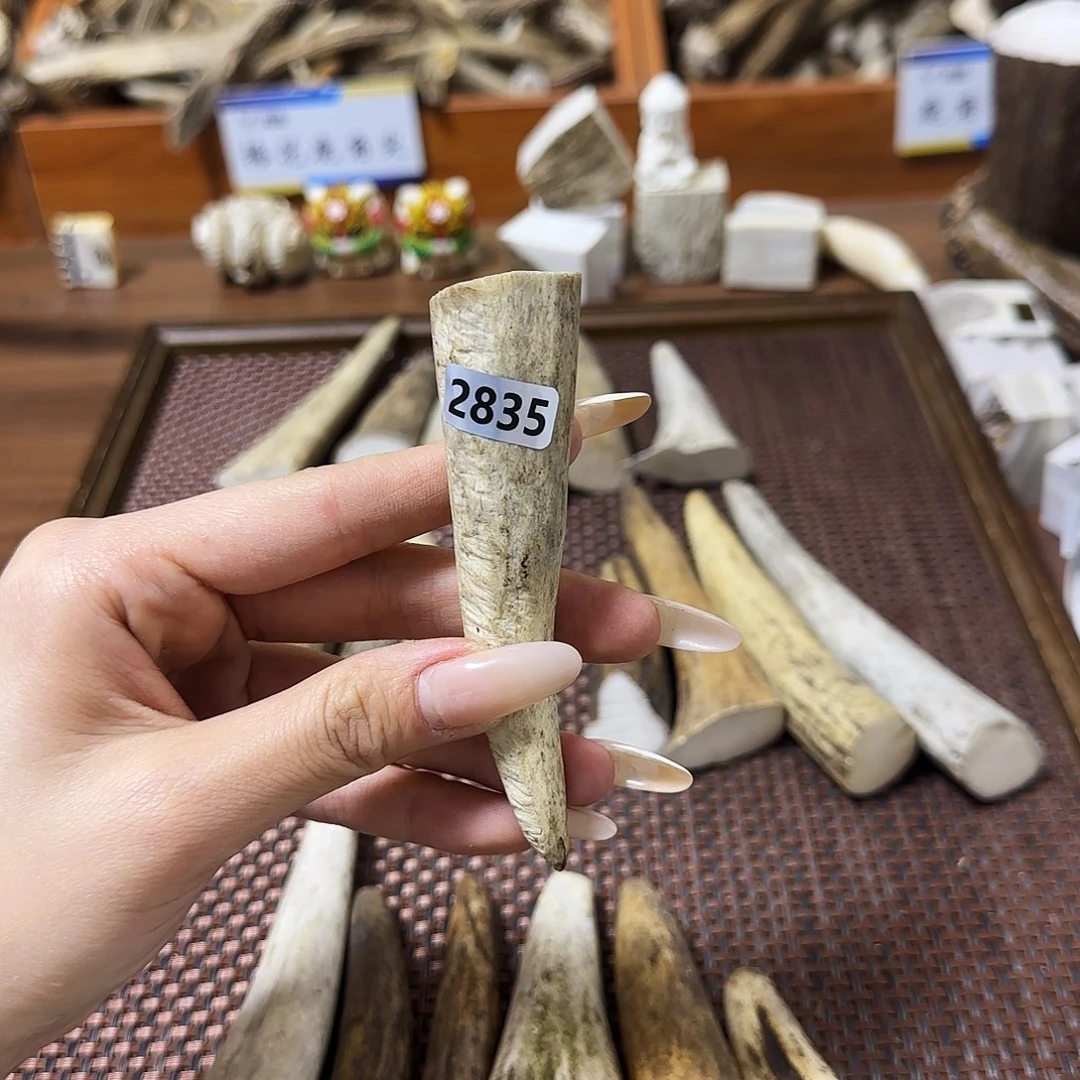 鹿骨手串/手链2835角尖